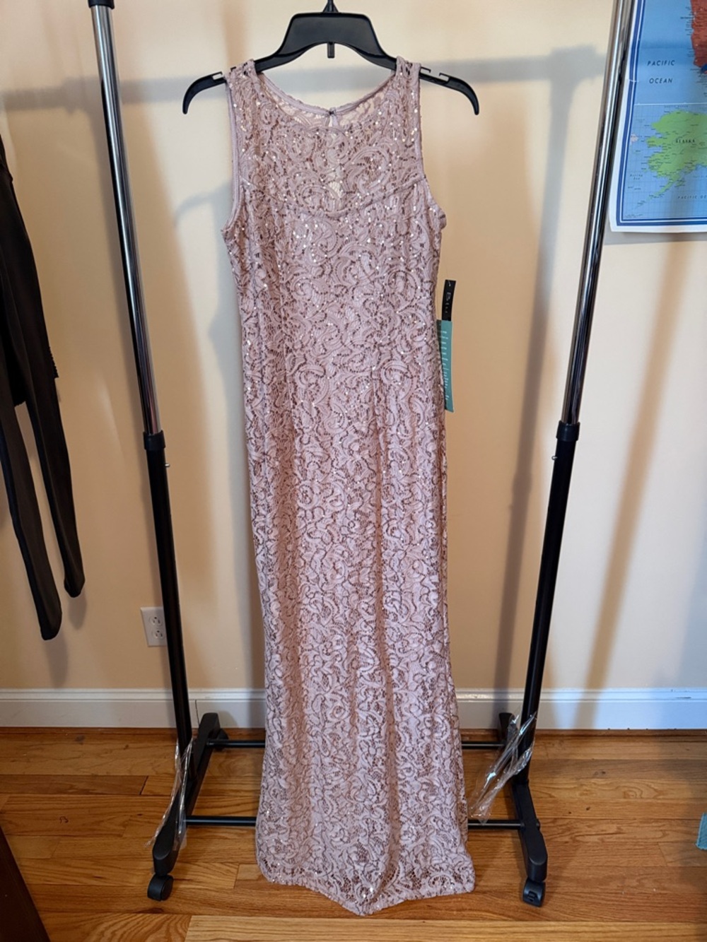 Blu Sage Blush Lace Sequin Maxi Dress